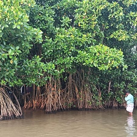 Dilkush Munroe Homestay Kollam Eksteriør bilde