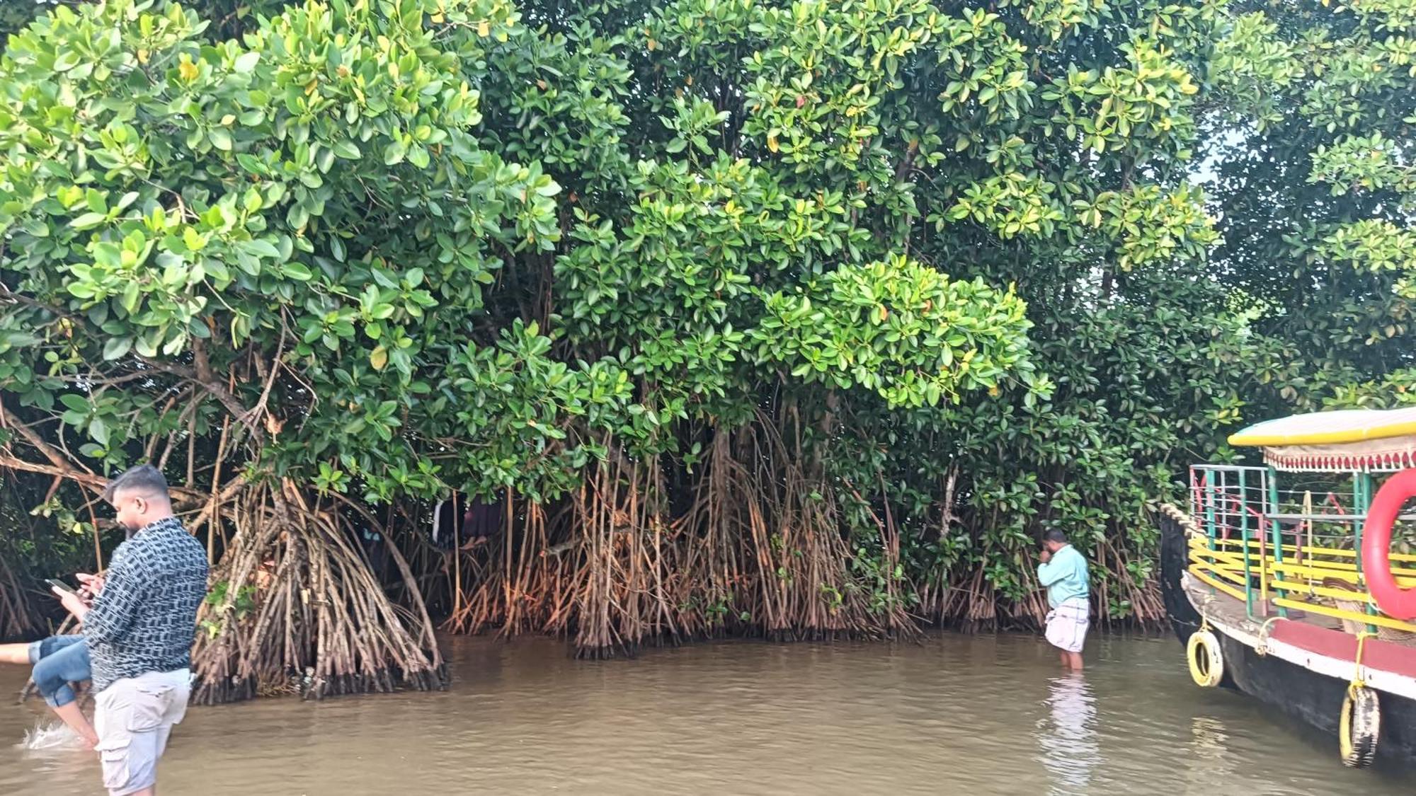 Dilkush Munroe Homestay Kollam Eksteriør bilde